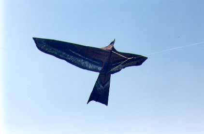 photo du cerf-volant aigle